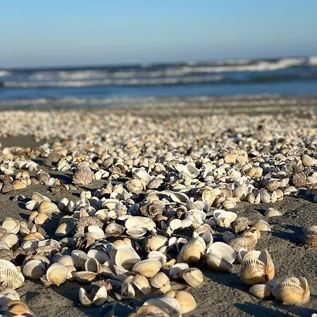 Seaside Vibes Mamaia Nord Appartamento *